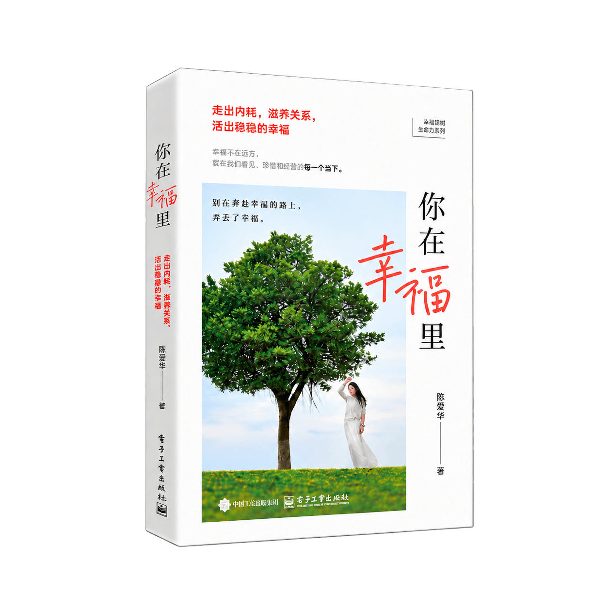 陈爱华著《你在幸福里》立体书封面